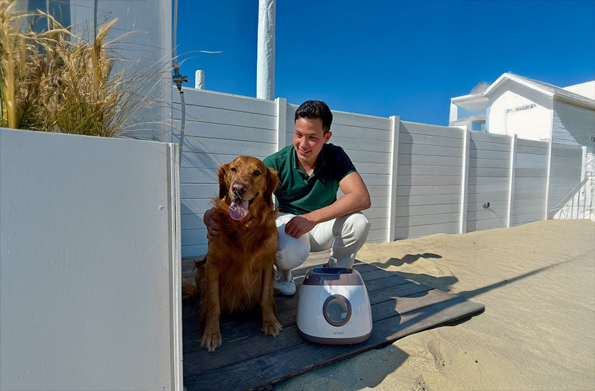 Beste automatische ballenwerper voor honden