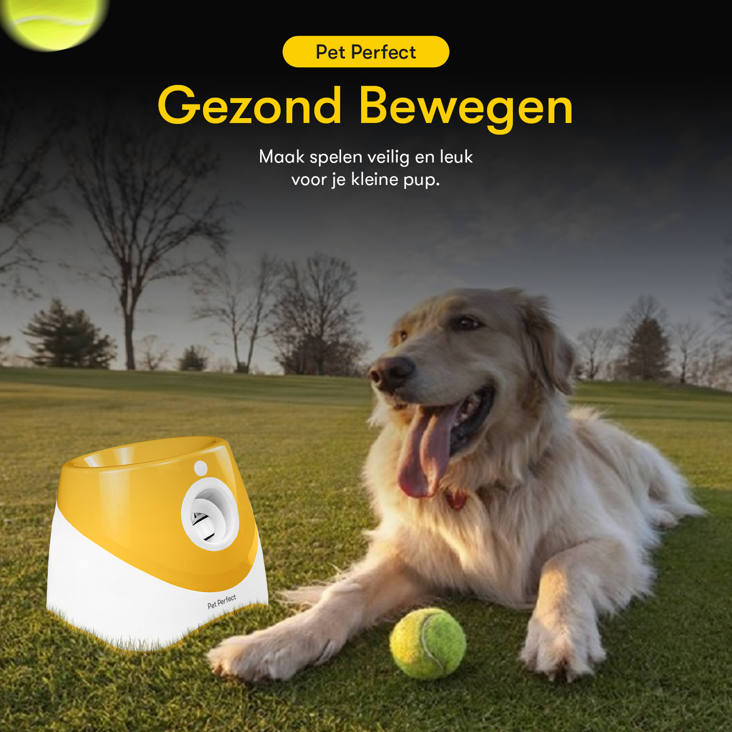 Pet Perfect automatische ballenwerper hond tegen overgewicht