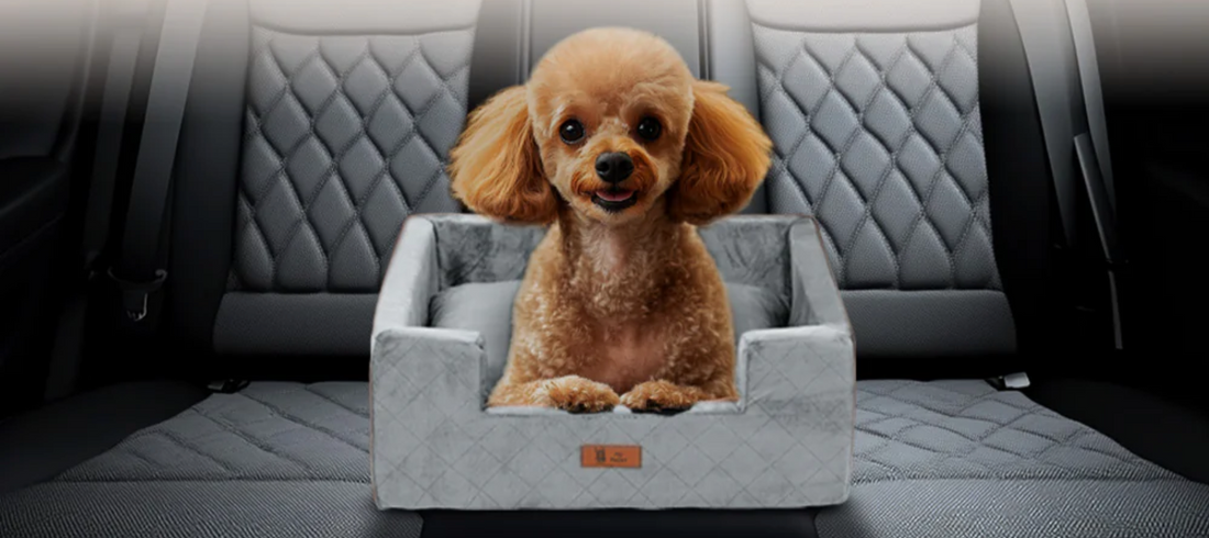 Zo gebruik je de autostoel van Pet Perfect