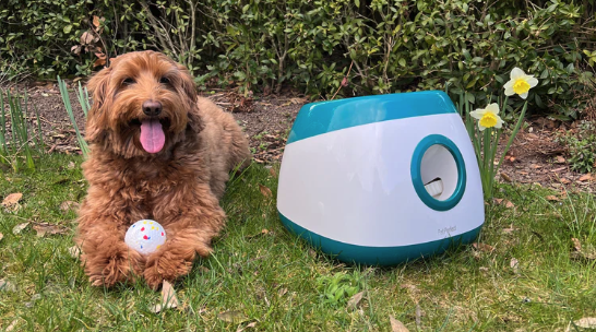 Beste automatische ballenwerper voor honden