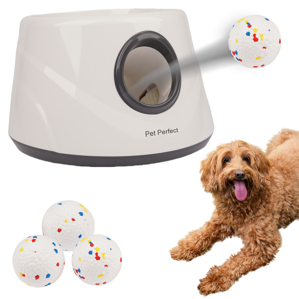 Pet Perfect Automatische Ballenwerper voor Honden - Hondenspeelgoed - Small