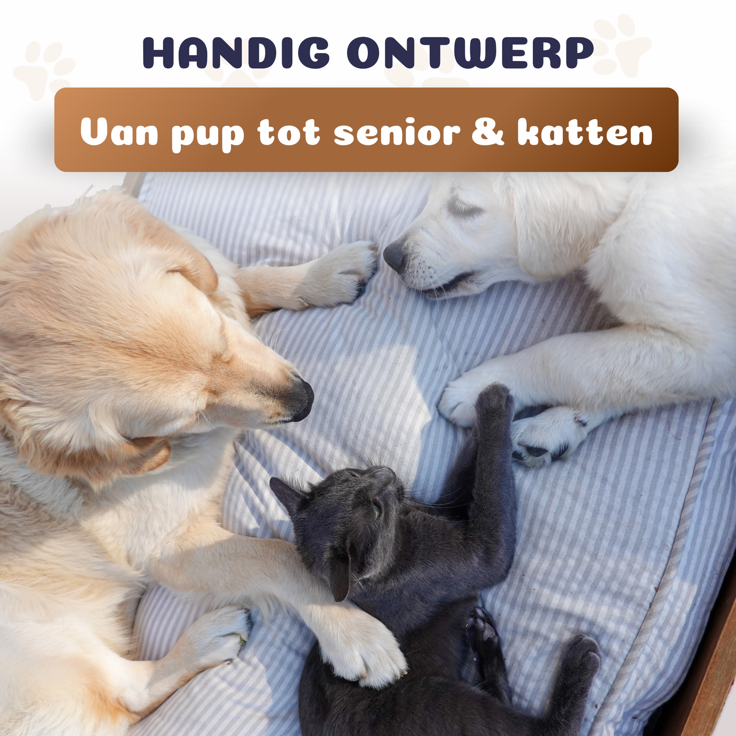 Pet Perfect instelbare voerbak hond op standaard