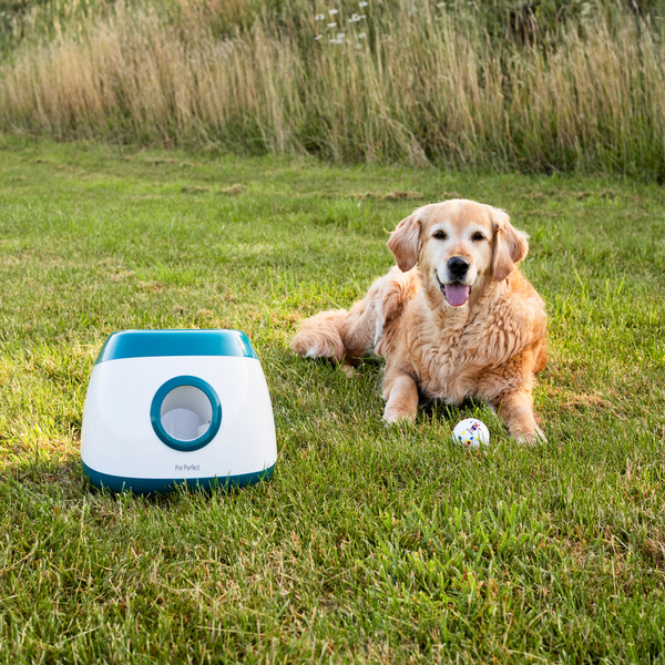Pet Perfect Automatische Ballenwerper Hond XL