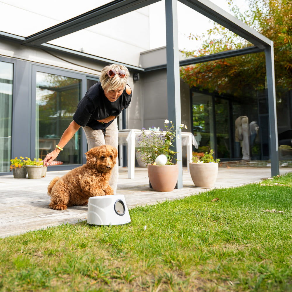 Pet Perfect Automatische Ballenwerper voor Honden - Hondenspeelgoed - Small
