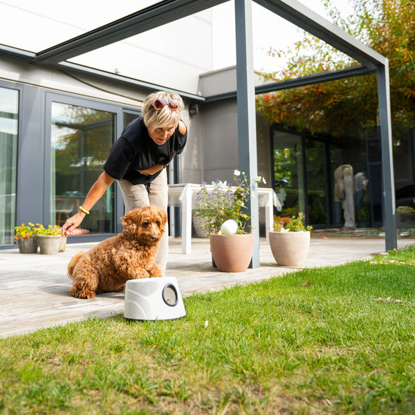 Pet Perfect Automatische Ballenwerper voor Honden - Hondenspeelgoed - Small
