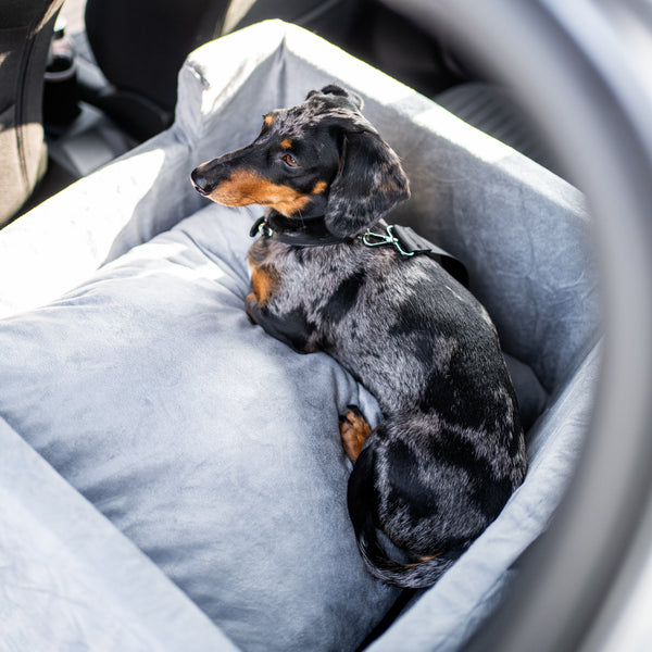 Pet Perfect Premium Hondenmand Auto - Autostoel Hond - Orthopedisch