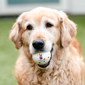 Pet Perfect - ETPU ballen - geschikt voor XL Ballenwerper
