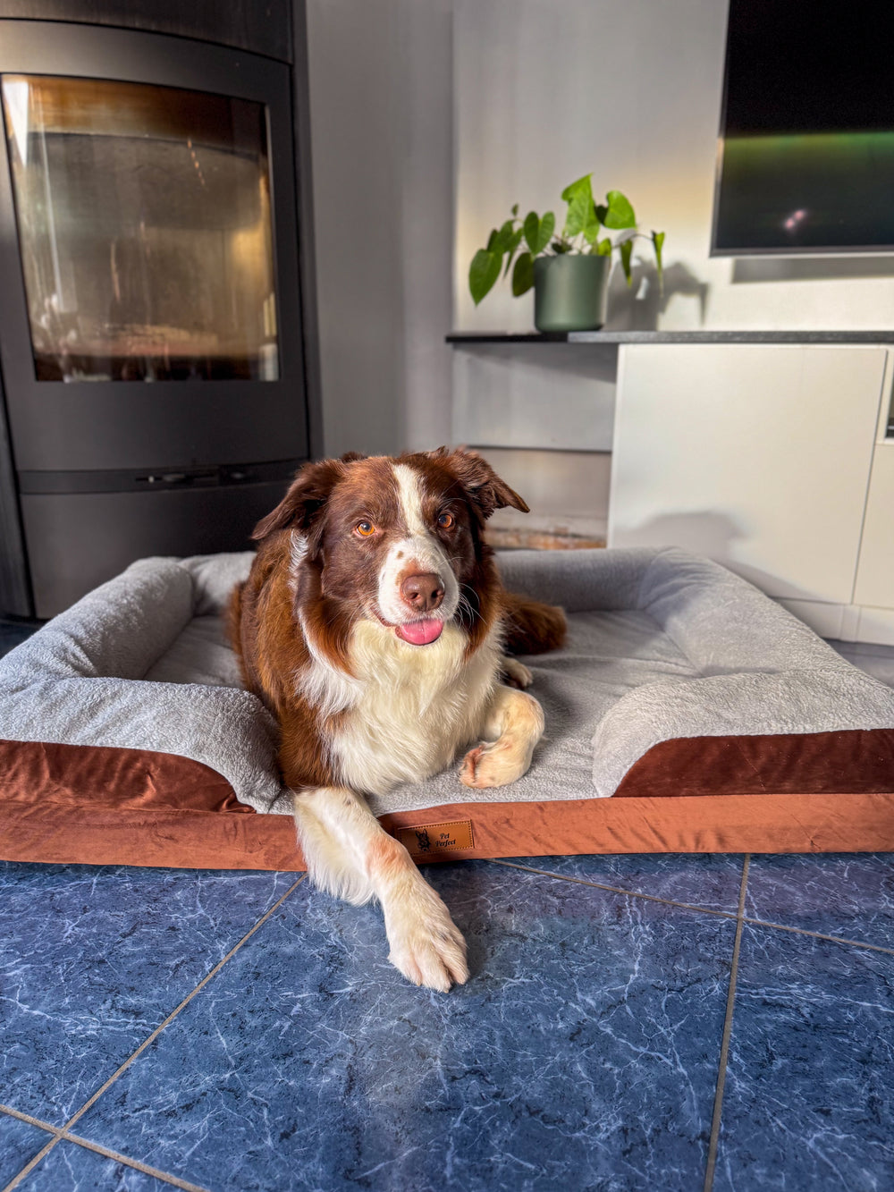 Pet Perfect HOES (zonder vulling) voor model 3 - Normale Hoes