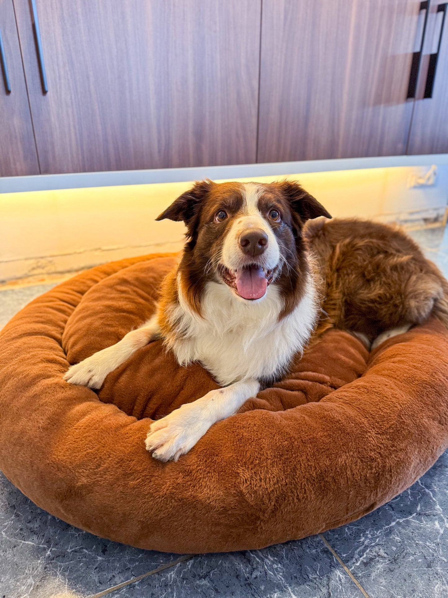 Premium Orthopedische Donut Hondenmand