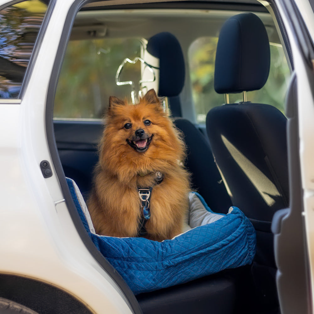 Automand Hond - Voor in de auto - Hondenmand & hondenkussen - 600D Oxford-materiaal Automand Hond - Voor in de auto - Hondenmand & hondenkussen - 600D Oxford-materiaal