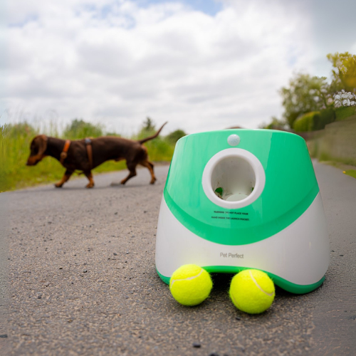 Pet Perfect Automatische Ballenwerper Hond