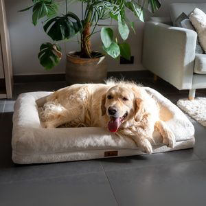 Pet Perfect Hondenmand - Orthopedisch - Afritsbaar - Beige