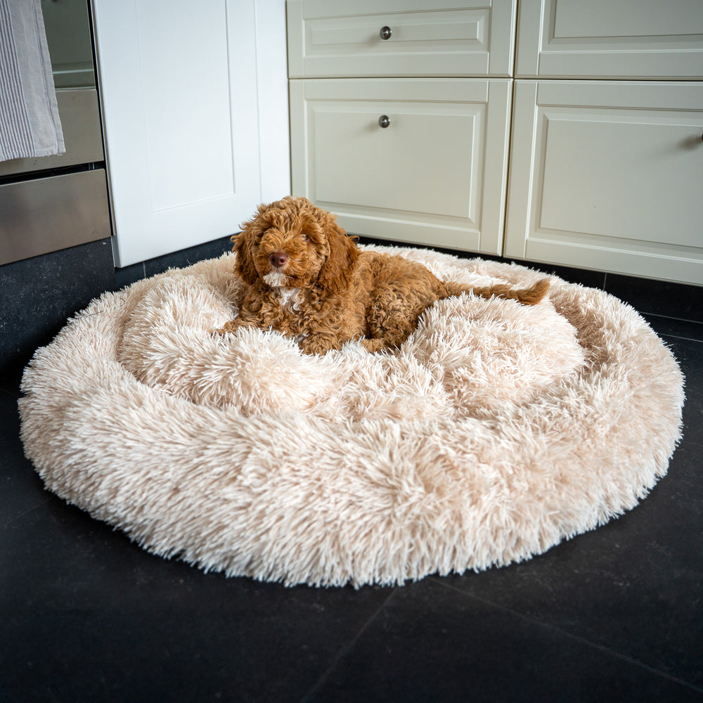 beige honden donutmand an Pet Perfect