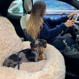 Fluffy Autostoel (2-in-1)