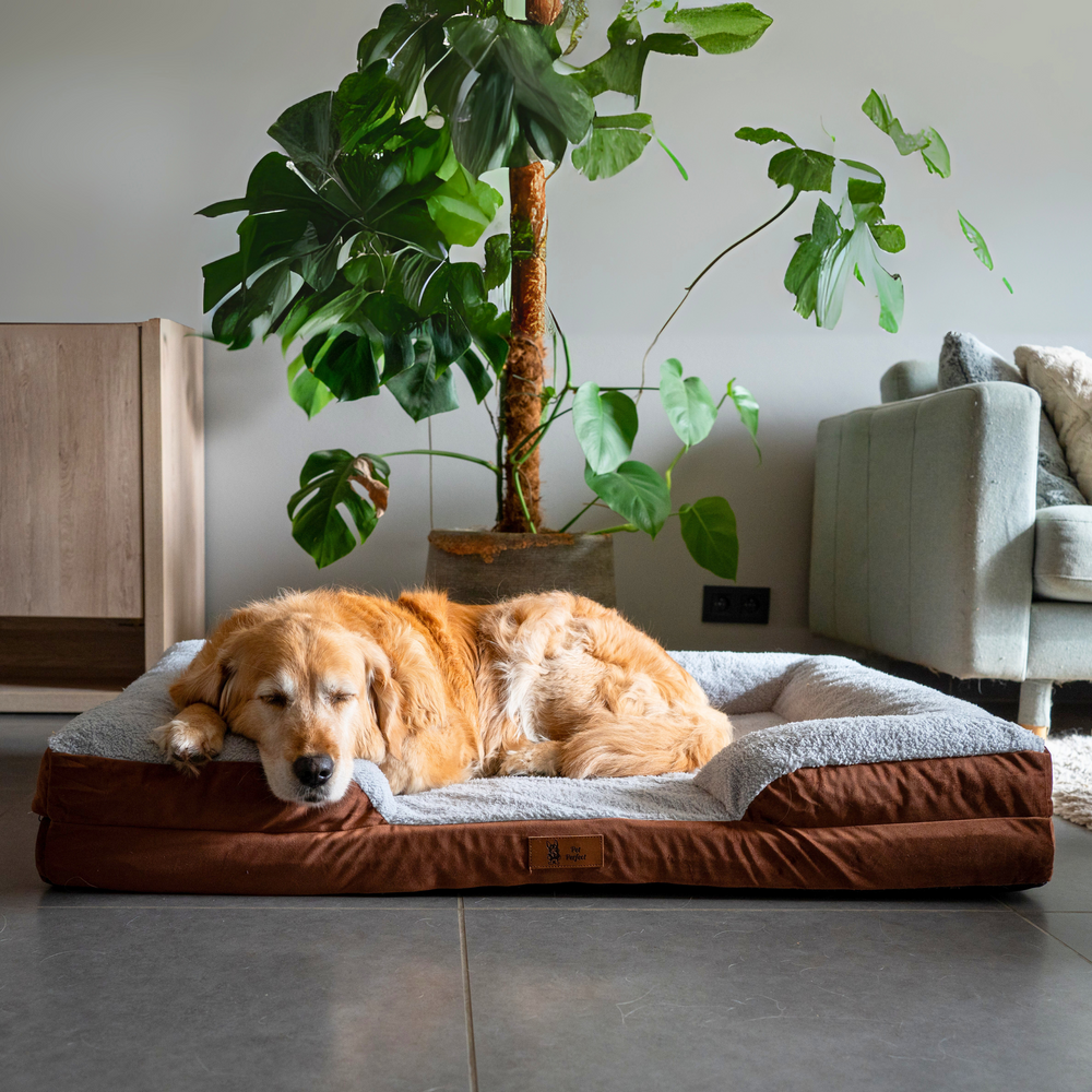 Pet Perfect Hondenmand - Orthopedisch - Afritsbaar - Bruin
