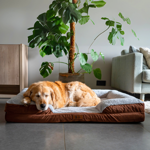 Pet Perfect Hondenmand - Orthopedisch - Afritsbaar - Bruin