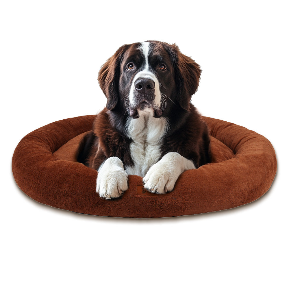 Premium Orthopedische Donut Hondenmand