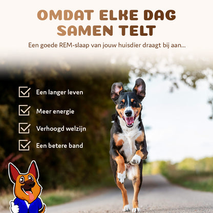 Premium Orthopedische Donut Hondenmand