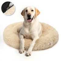 beige honden donutmand an Pet Perfect