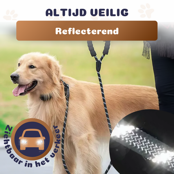 Korte leiband hond die reflecteert in donker