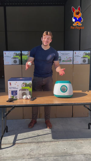 Pet perfect automatische ballenwerper XL gebruiksvideo