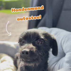 Pet Perfect Hondenmand Auto – Autostoel Hond - Grijs