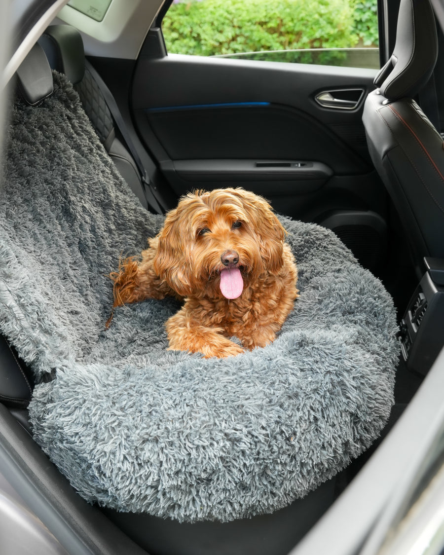 Autostoelen